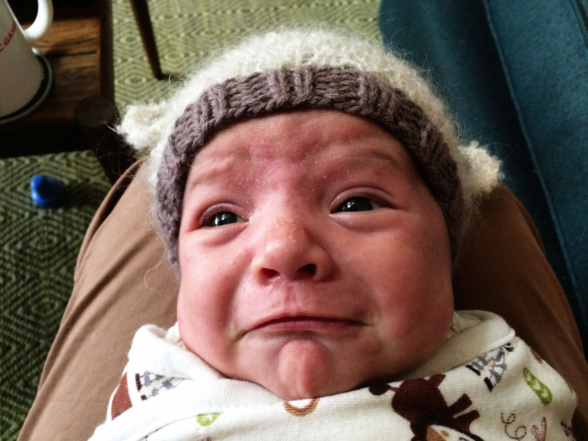 baby tears in 3...2...1...